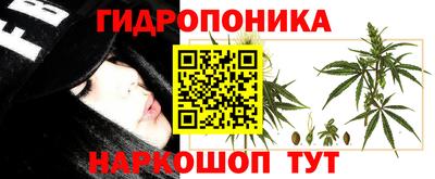 СК Краснознаменск