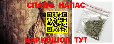 СК Краснознаменск