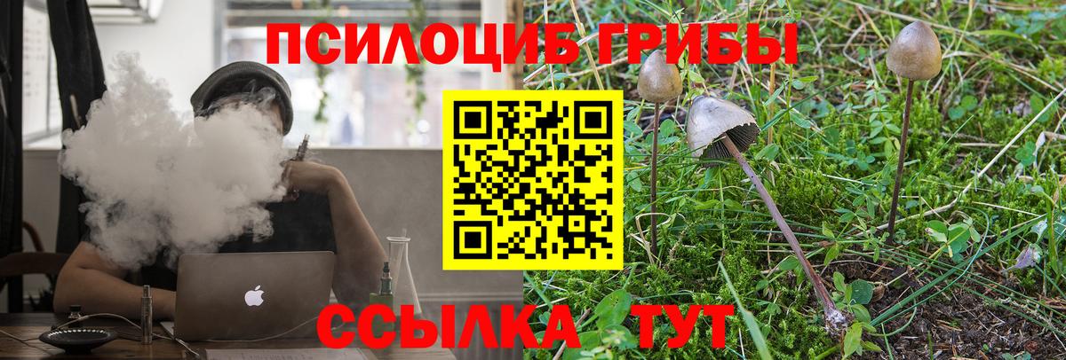 Псилоцибиновые грибы Magic Shrooms Златоуст
